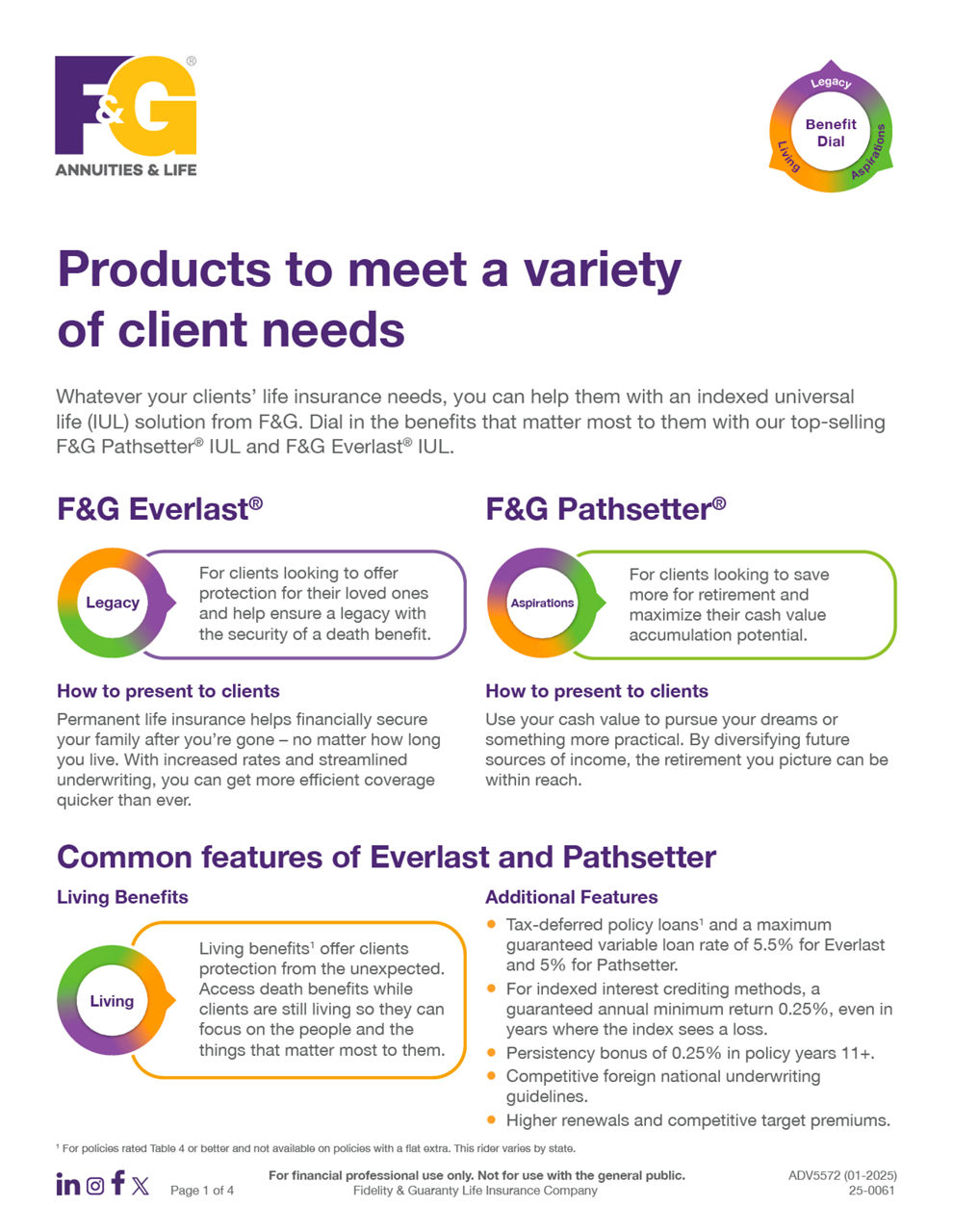 Everlast/Pathsetter comparison flyer